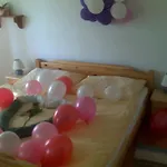 Hanacky Dvur Hotel